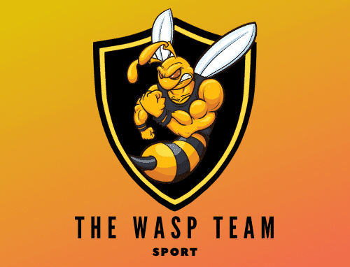 The Wasp Team