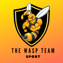 the-wasp-team-programme
